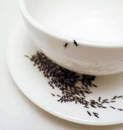 tazza