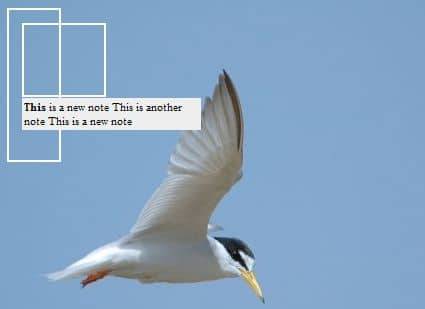 Effetto jQuery come visualizzare note sulle immagini tipo Flickr