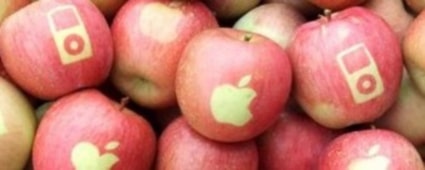 real_apple_logos.jpg