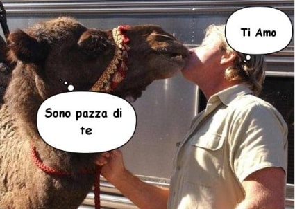 Che gustacci