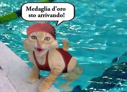 micio_1.jpg
