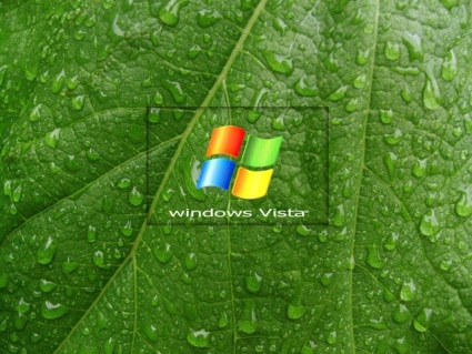 screen screen