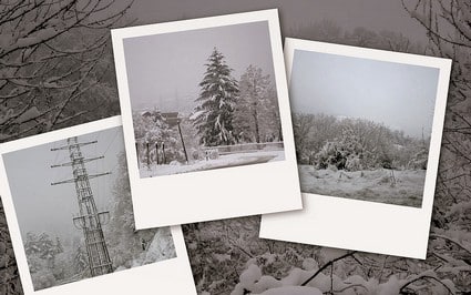 collage1.jpg