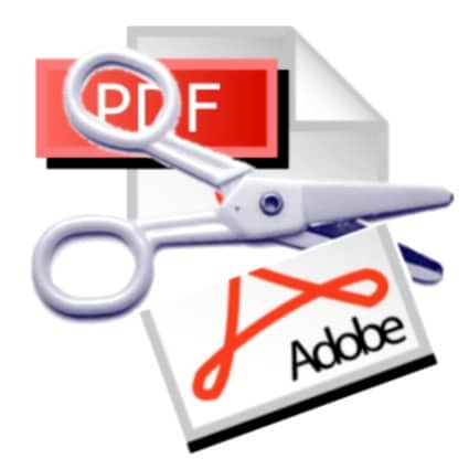 pdf
