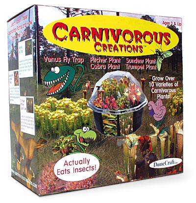 Box Delle Creature Carnivore