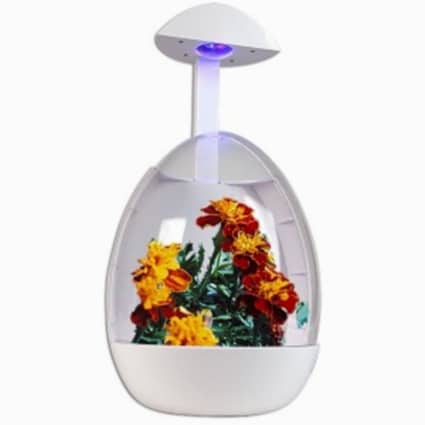 usb greenhouse
