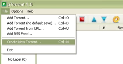 NewTorrent_1.jpg