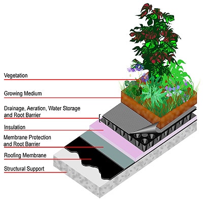 greenroof1.jpg
