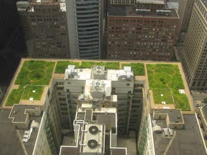 roof1.jpg roof1.jpg