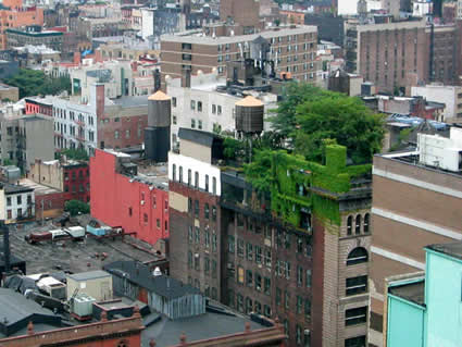 roof3.jpg roof3.jpg