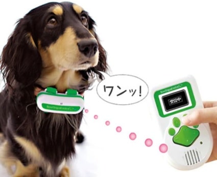 dogtranslator dogtranslator
