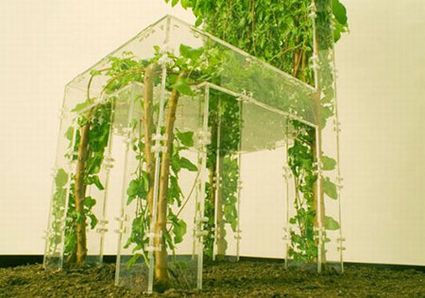 Come realizzare una pianta a forma di sedia Come realizzare una pianta a forma di sedia