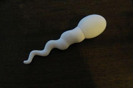 Chiavetta USB Sperma