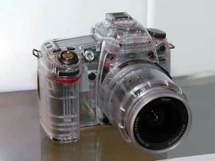 transparentnikond80.jpg
